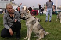 Callisto Dante Crying Wolf gazdijával